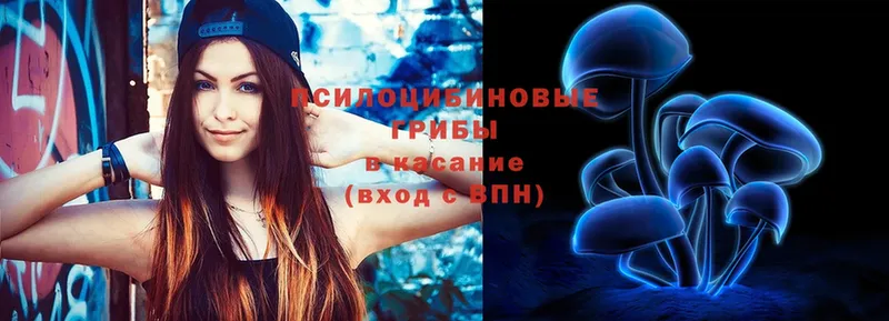 Псилоцибиновые грибы Psilocybe Трубчевск